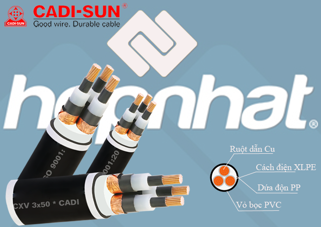 Cáp đồng 3 ruột bọc cách điện XLPE/PVC_CXV 3x10, Cáp đồng 3 ruột Cadisun 3x10